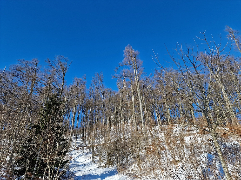 Kum z Malega Kuma, 28. 12. 2025