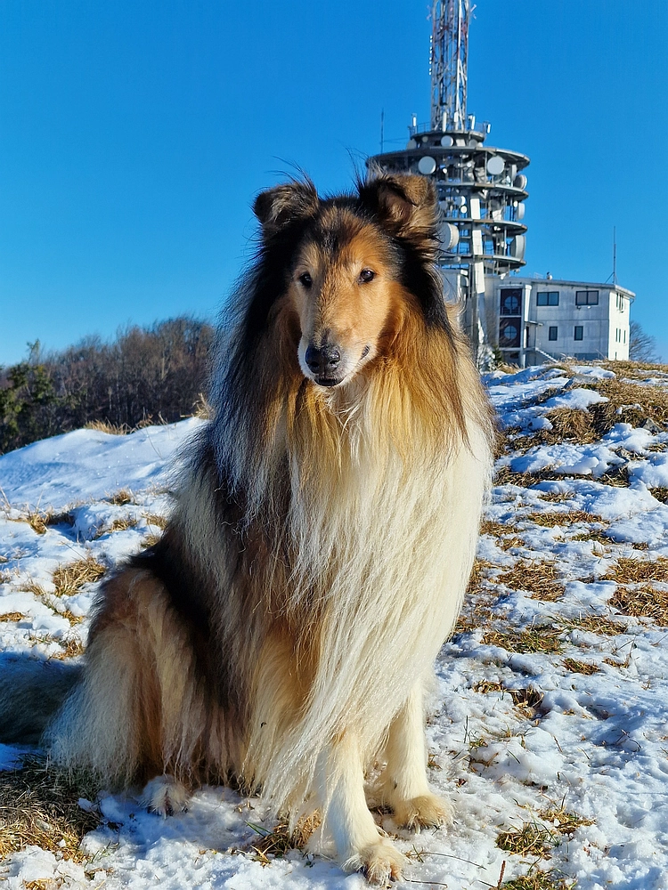 Kum z Malega Kuma, 28. 12. 2025