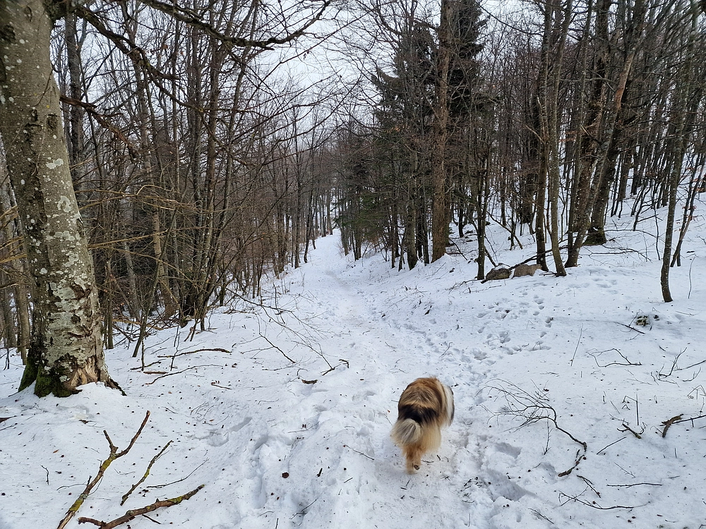 Kum z Malega Kuma, 28. 12. 2025