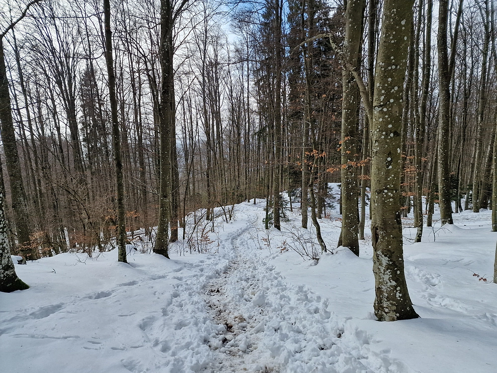 Kum z Malega Kuma, 28. 12. 2025