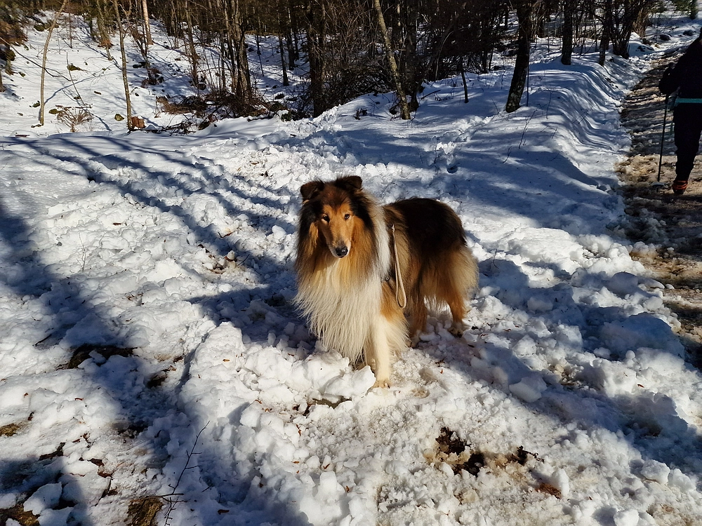 Kum z Malega Kuma, 28. 12. 2025