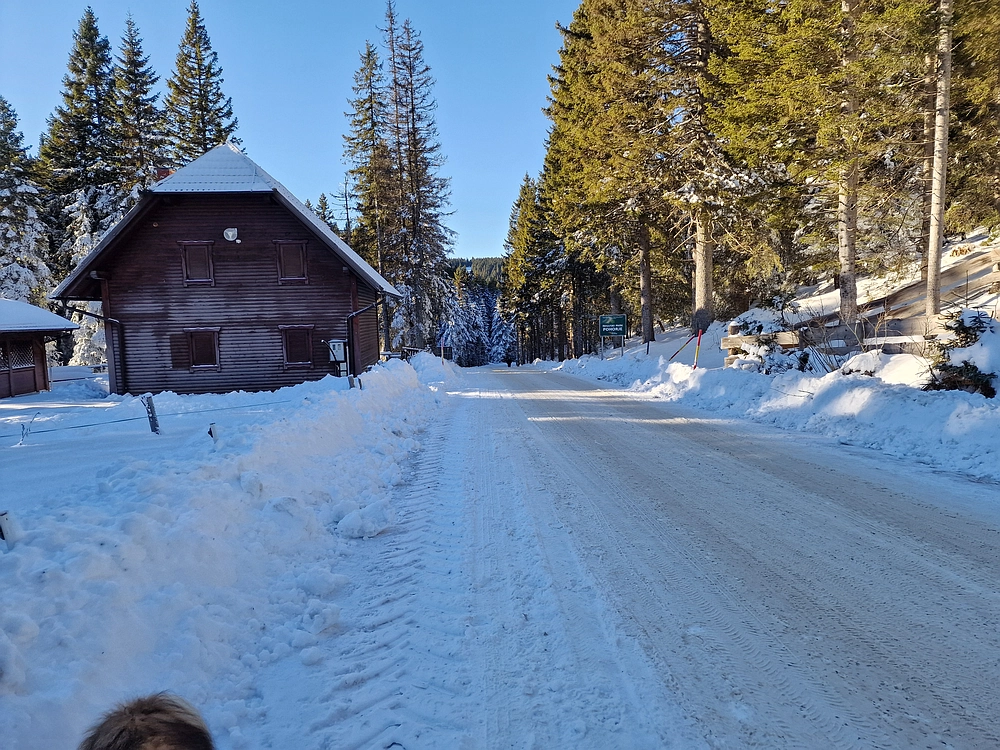 Lovrenška jezera, 29. 12. 2025