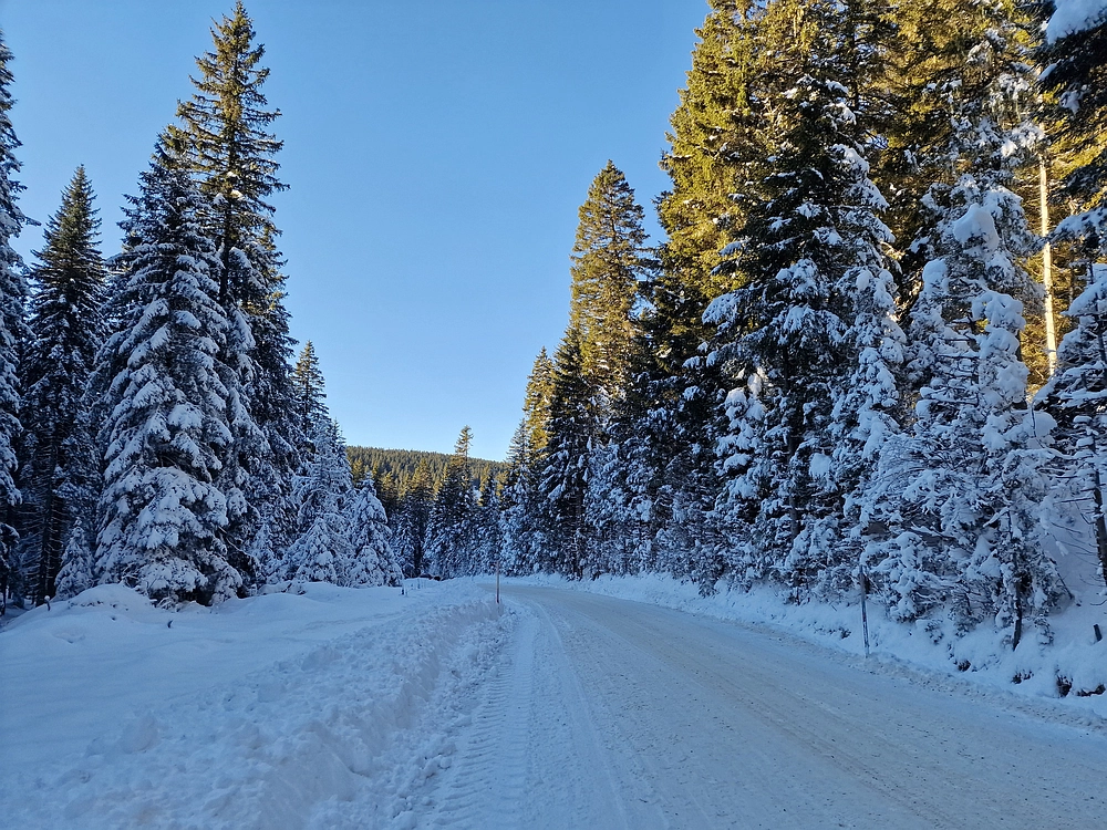 Lovrenška jezera, 29. 12. 2025
