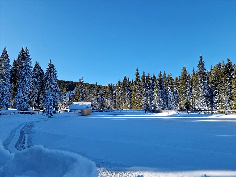 Lovrenška jezera, 29. 12. 2025