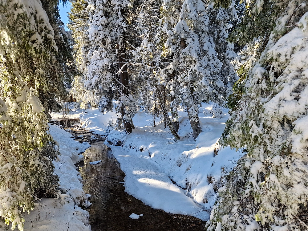 Lovrenška jezera, 29. 12. 2025
