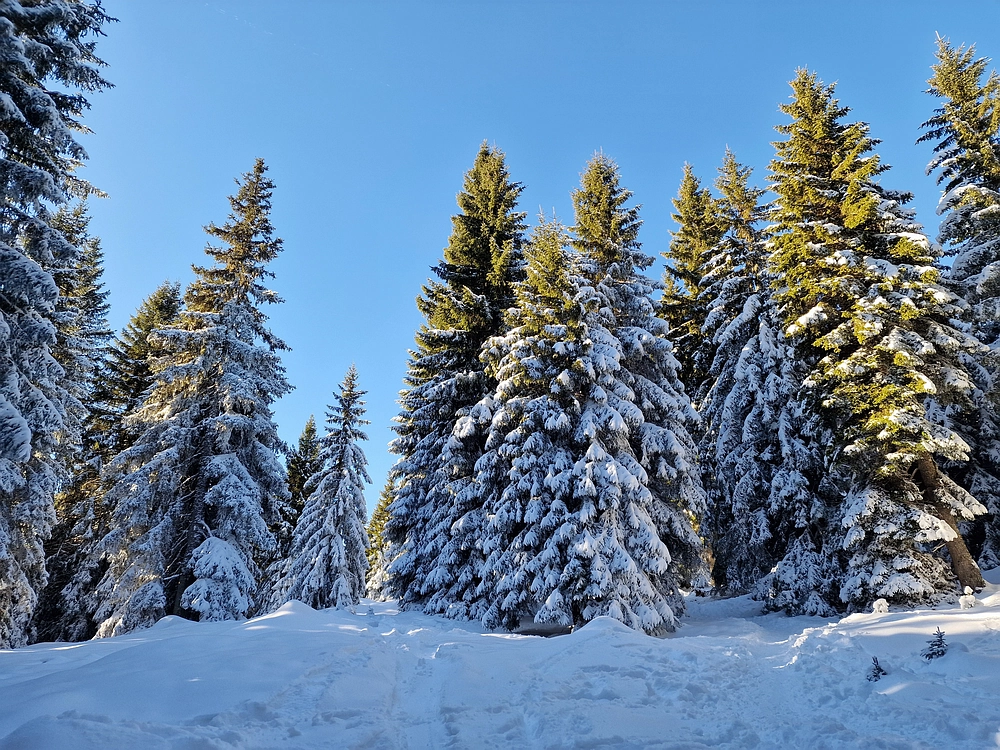 Lovrenška jezera, 29. 12. 2025