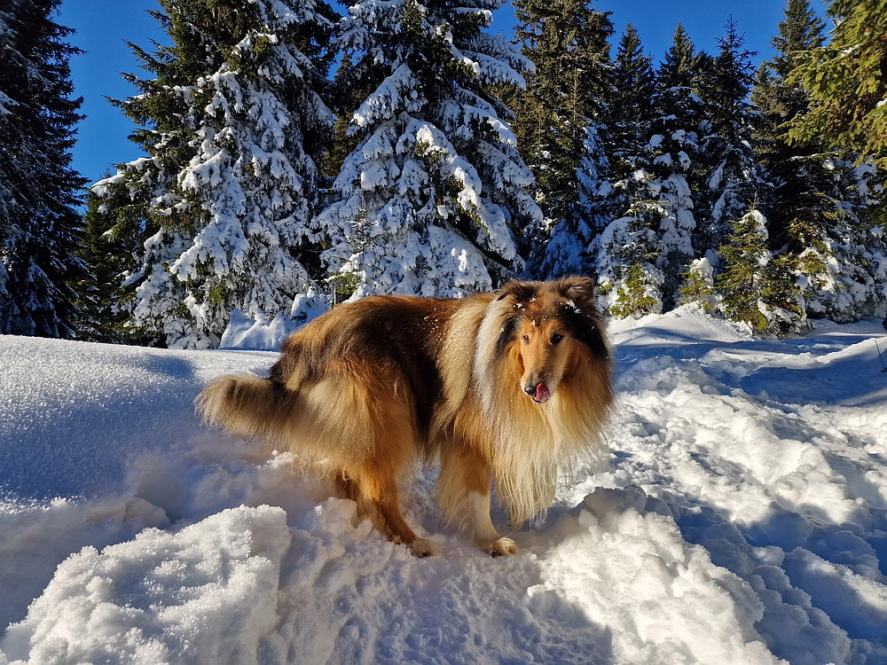Lovrenška jezera, 29. 12. 2025