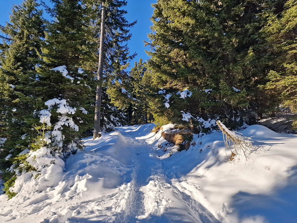 Lovrenška jezera, 29. 12. 2025