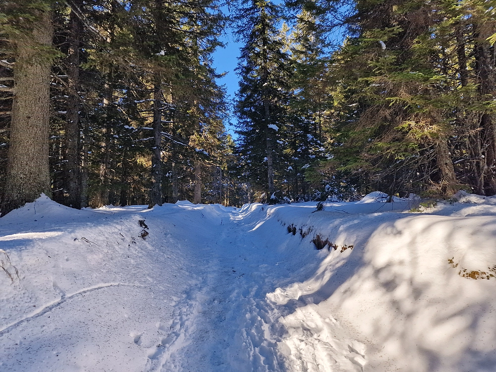 Lovrenška jezera, 29. 12. 2025