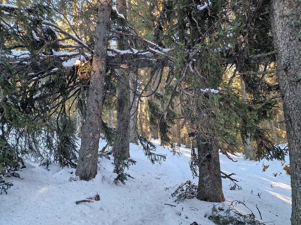 Lovrenška jezera, 29. 12. 2025