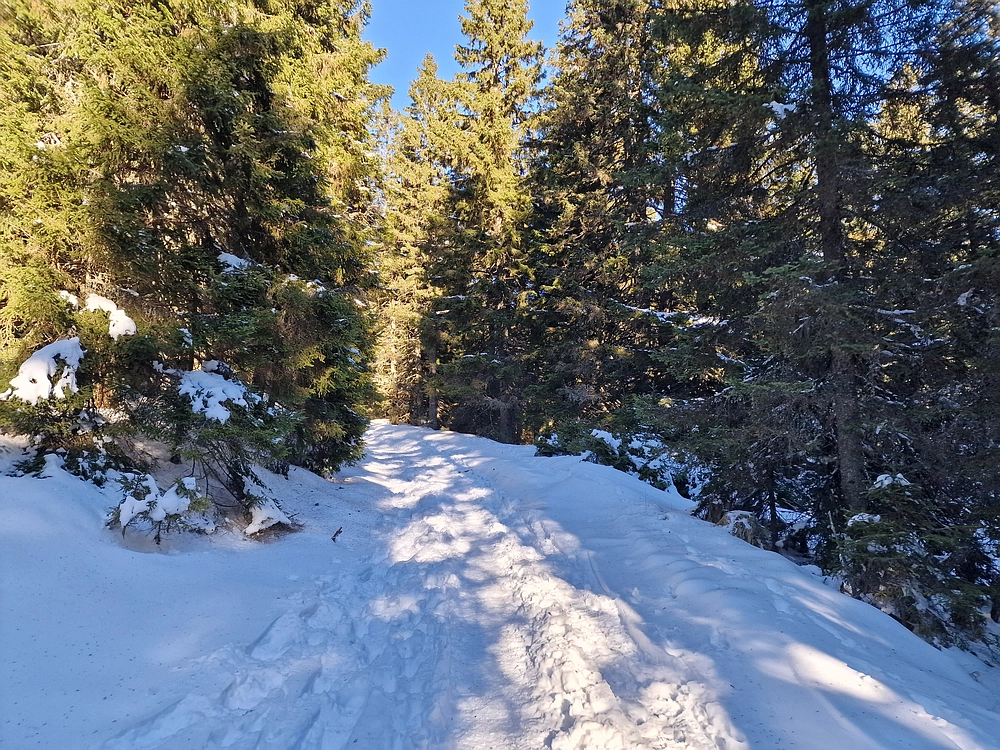 Lovrenška jezera, 29. 12. 2025