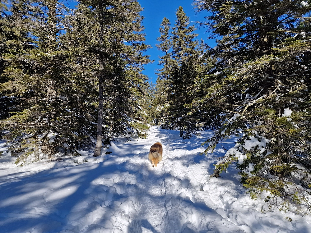 Lovrenška jezera, 29. 12. 2025