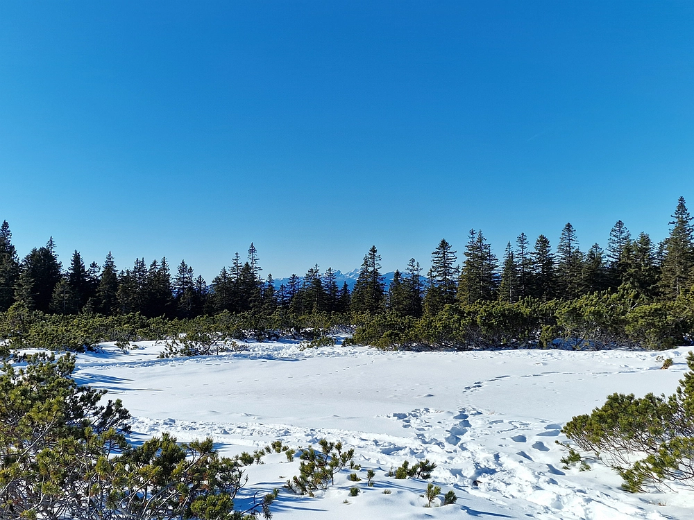 Lovrenška jezera, 29. 12. 2025