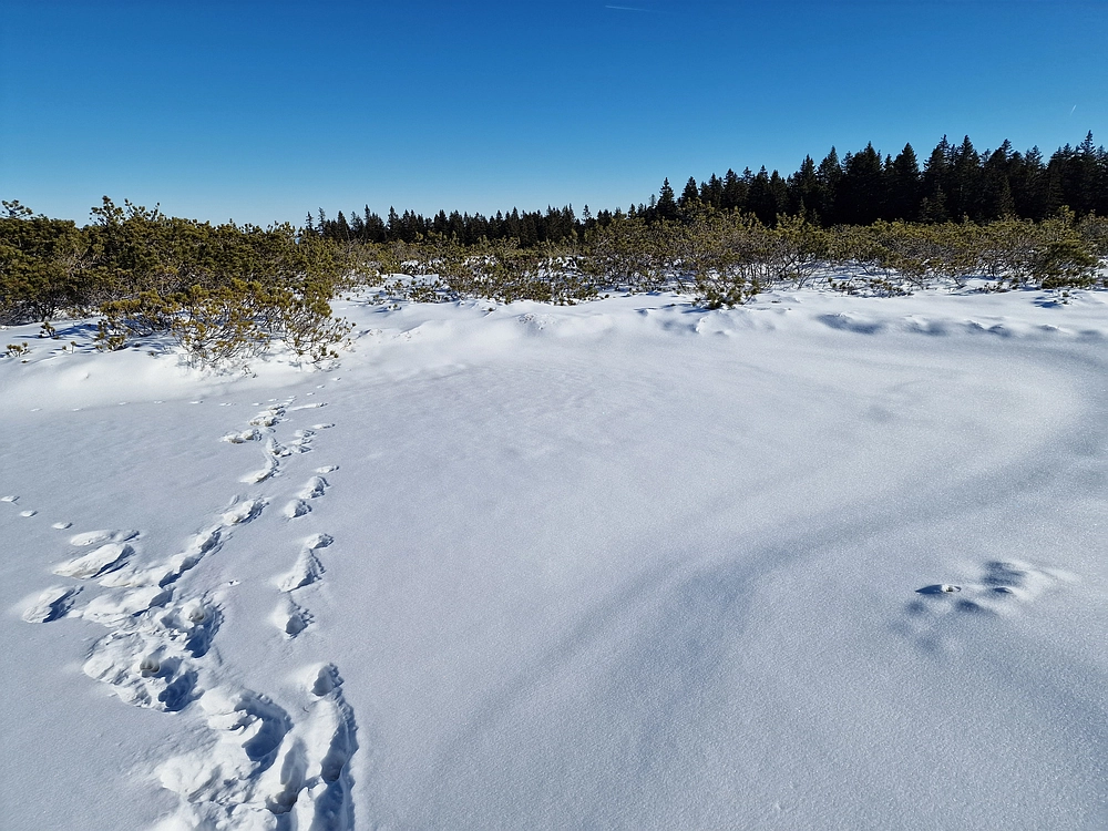 Lovrenška jezera, 29. 12. 2025