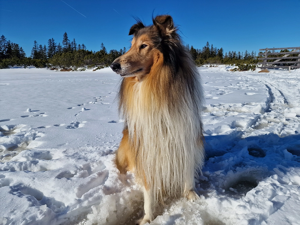 Lovrenška jezera, 29. 12. 2025