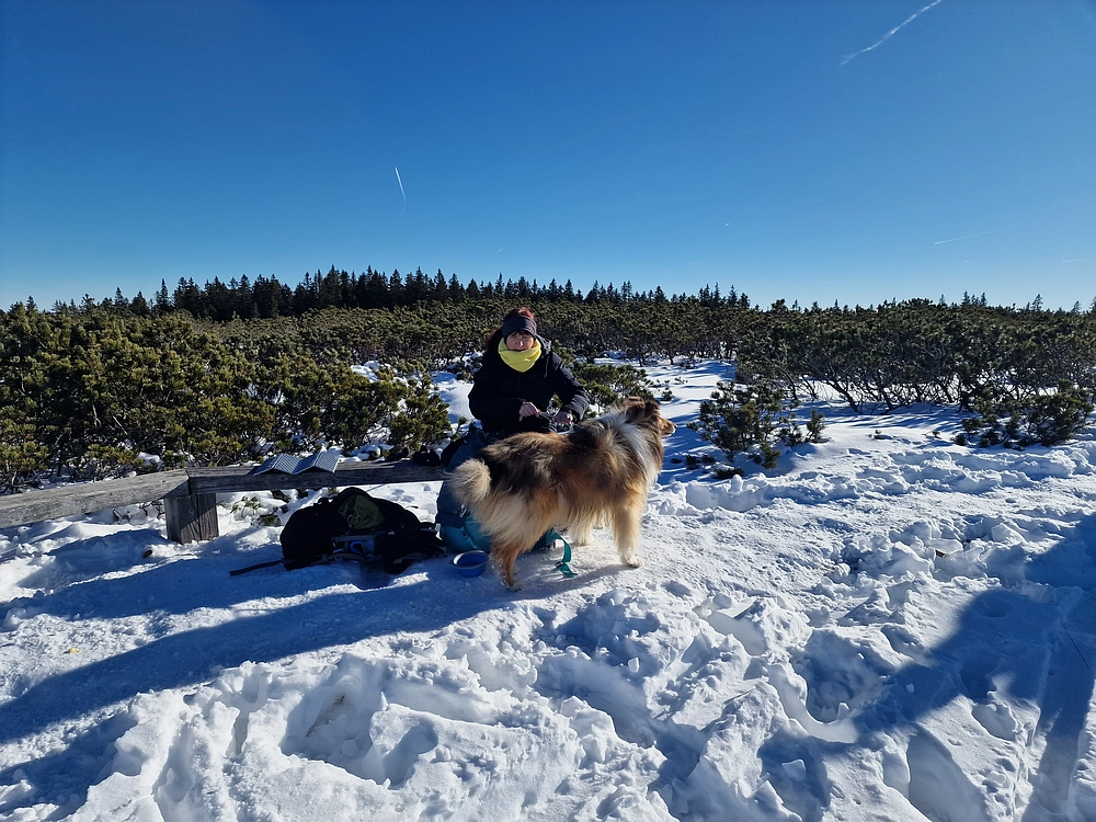 Lovrenška jezera, 29. 12. 2025