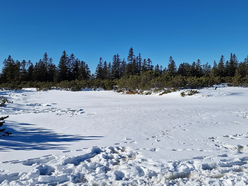 Lovrenška jezera, 29. 12. 2025