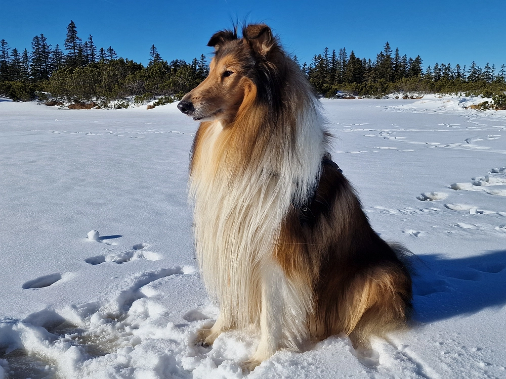 Lovrenška jezera, 29. 12. 2025