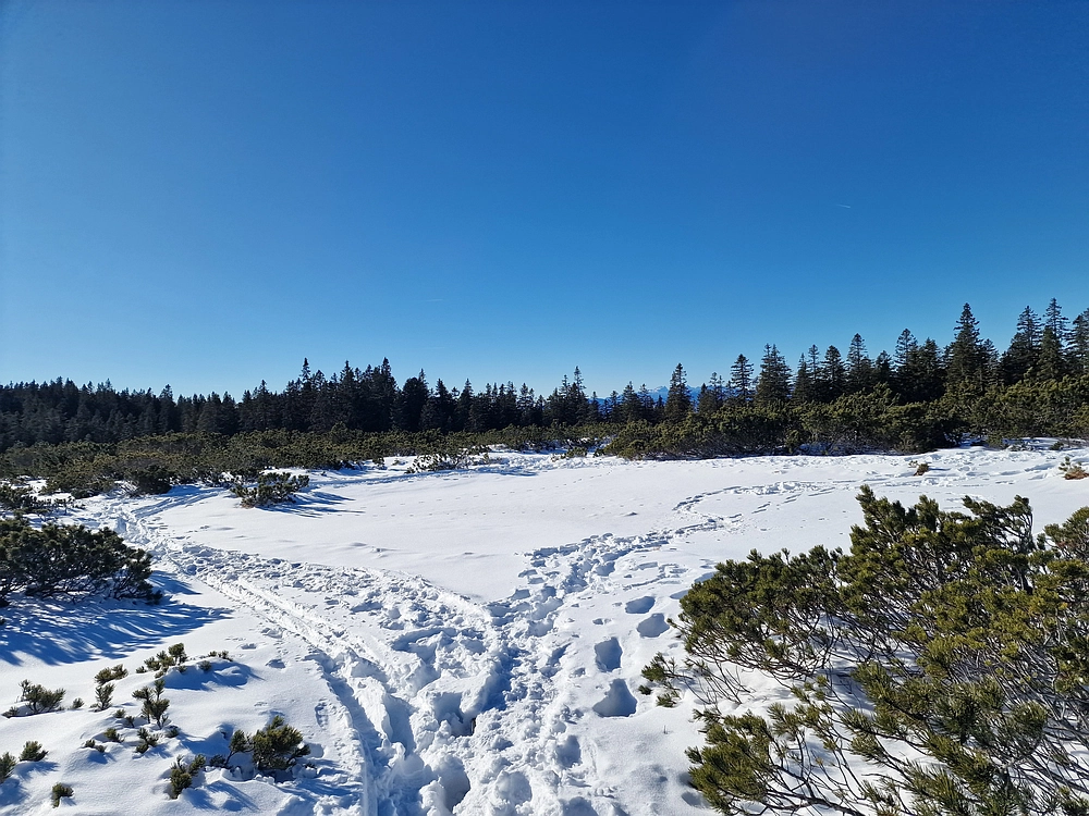 Lovrenška jezera, 29. 12. 2025