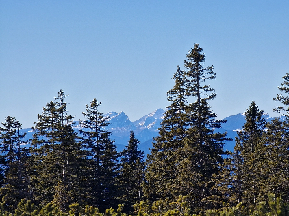 Lovrenška jezera, 29. 12. 2025