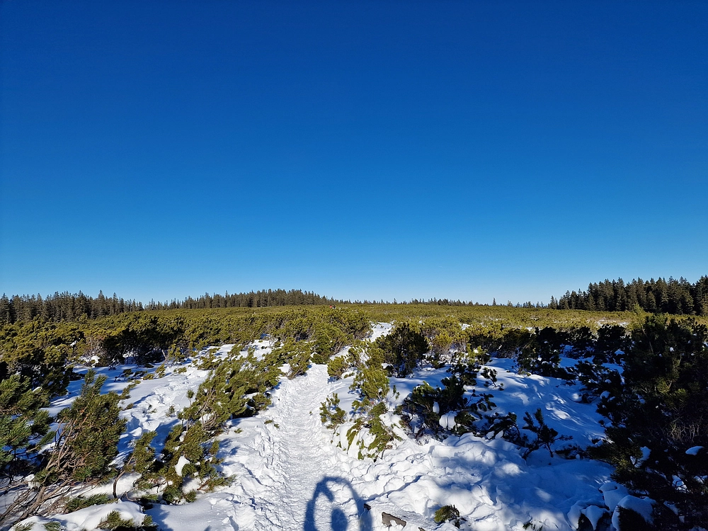 Lovrenška jezera, 29. 12. 2025