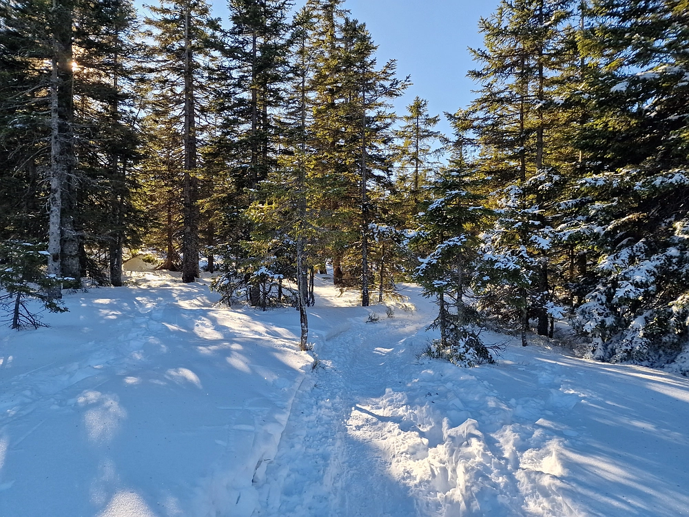 Lovrenška jezera, 29. 12. 2025