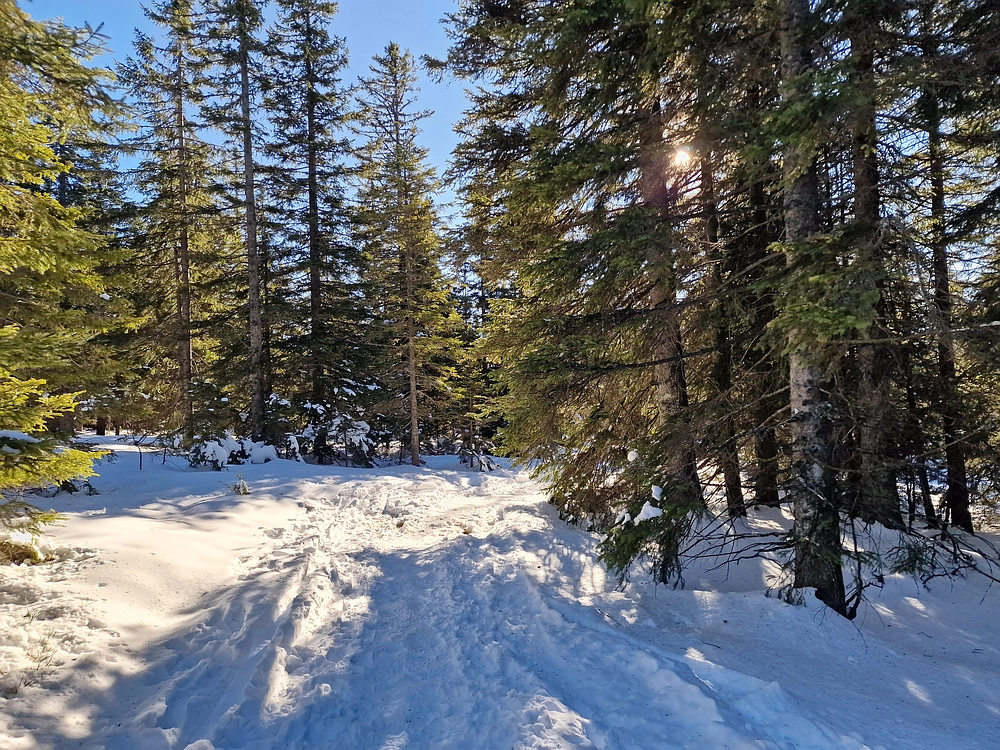 Lovrenška jezera, 29. 12. 2025
