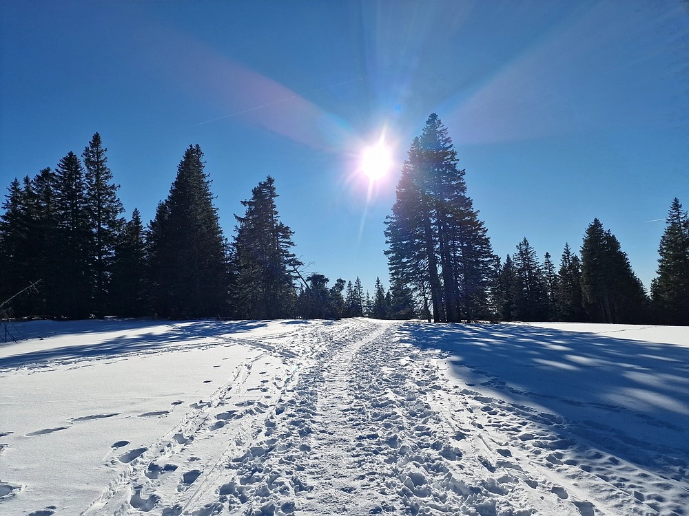 Lovrenška jezera, 29. 12. 2025