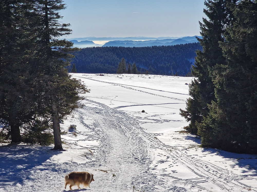 Lovrenška jezera, 29. 12. 2025