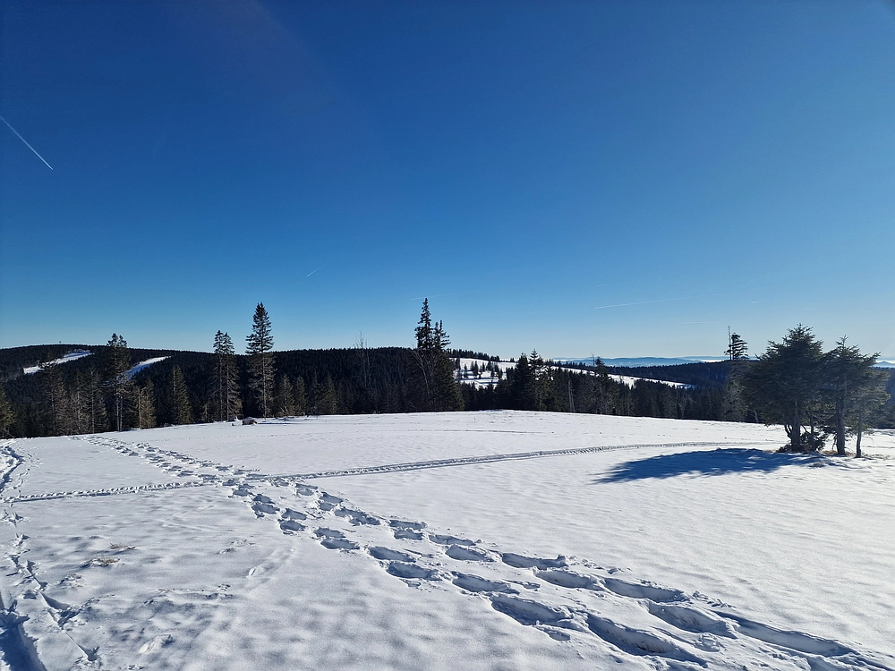 Lovrenška jezera, 29. 12. 2025