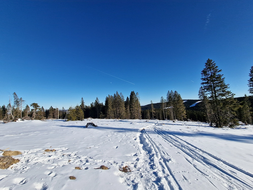 Lovrenška jezera, 29. 12. 2025