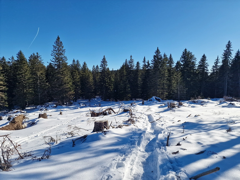 Lovrenška jezera, 29. 12. 2025