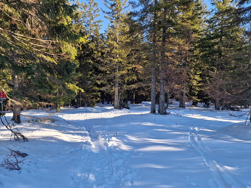 Lovrenška jezera, 29. 12. 2025