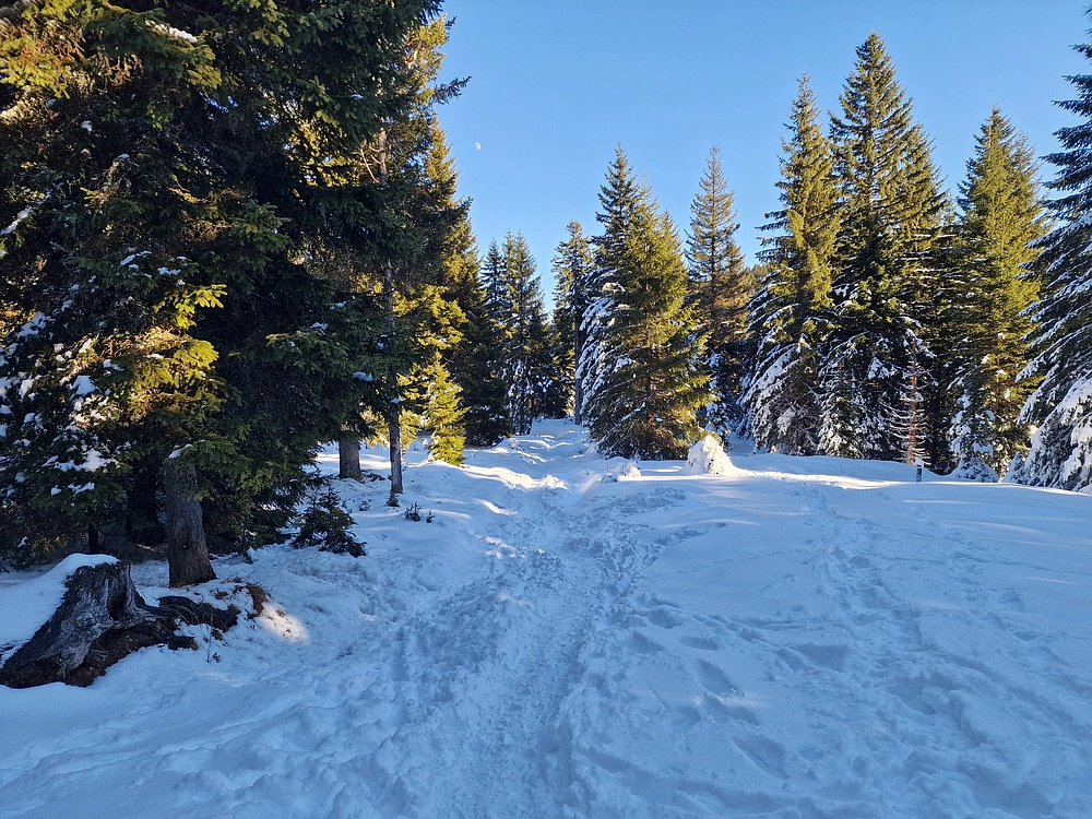 Lovrenška jezera, 29. 12. 2025