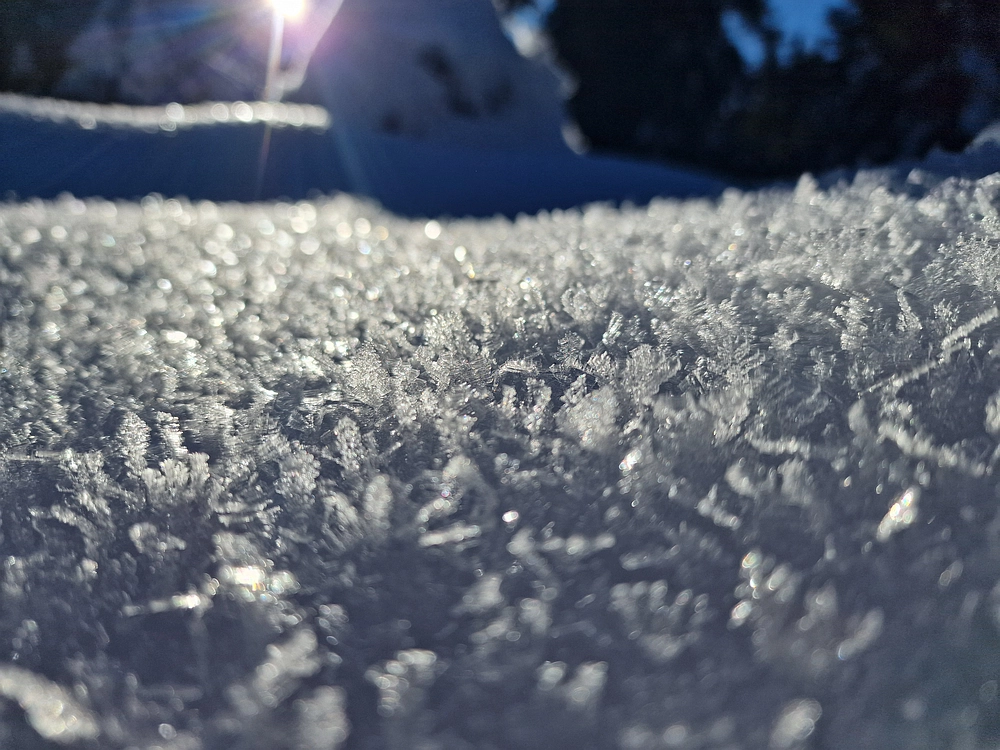 Lovrenška jezera, 29. 12. 2025