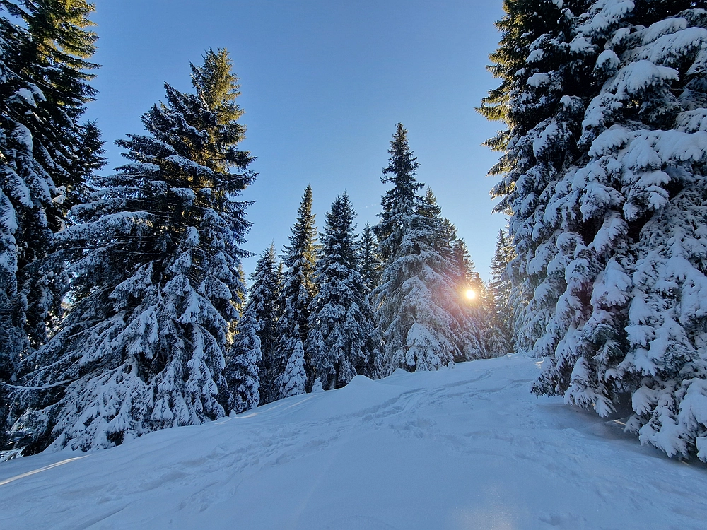Lovrenška jezera, 29. 12. 2025