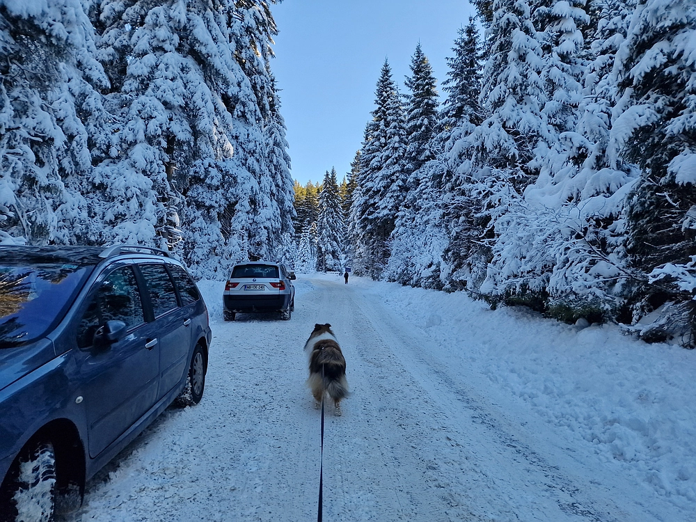 Lovrenška jezera, 29. 12. 2025