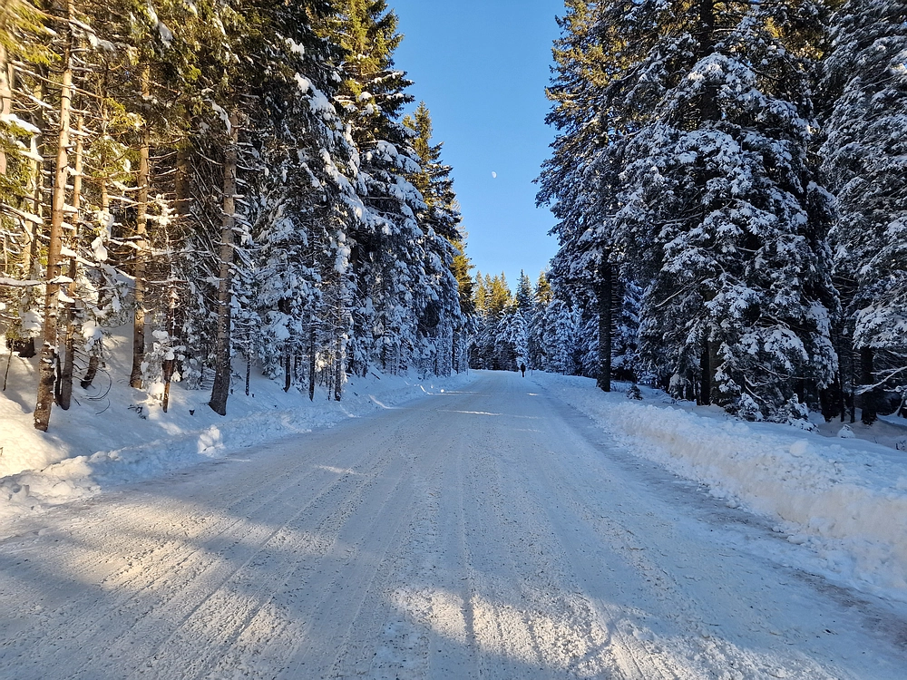 Lovrenška jezera, 29. 12. 2025