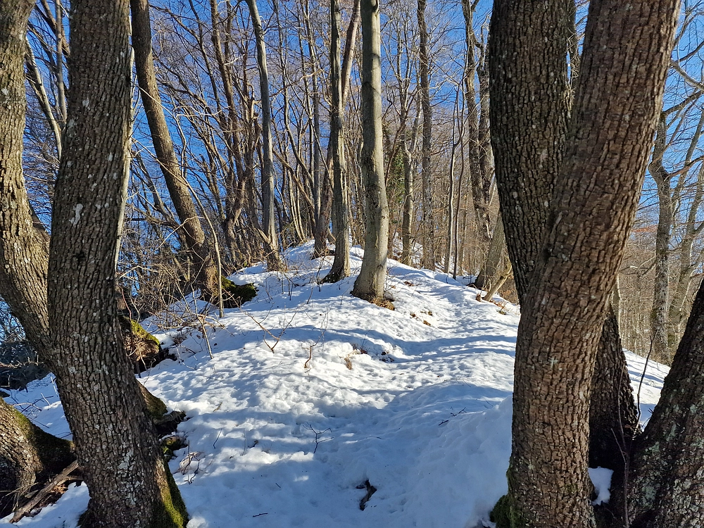 Reška planina, 31. 12. 2025