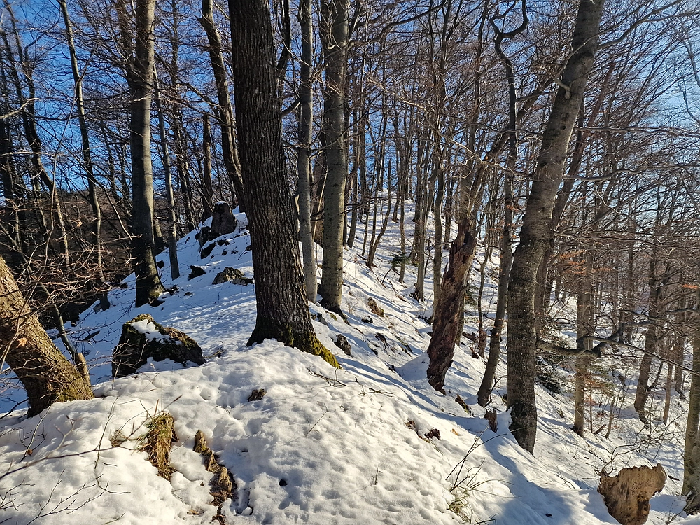 Reška planina, 31. 12. 2025
