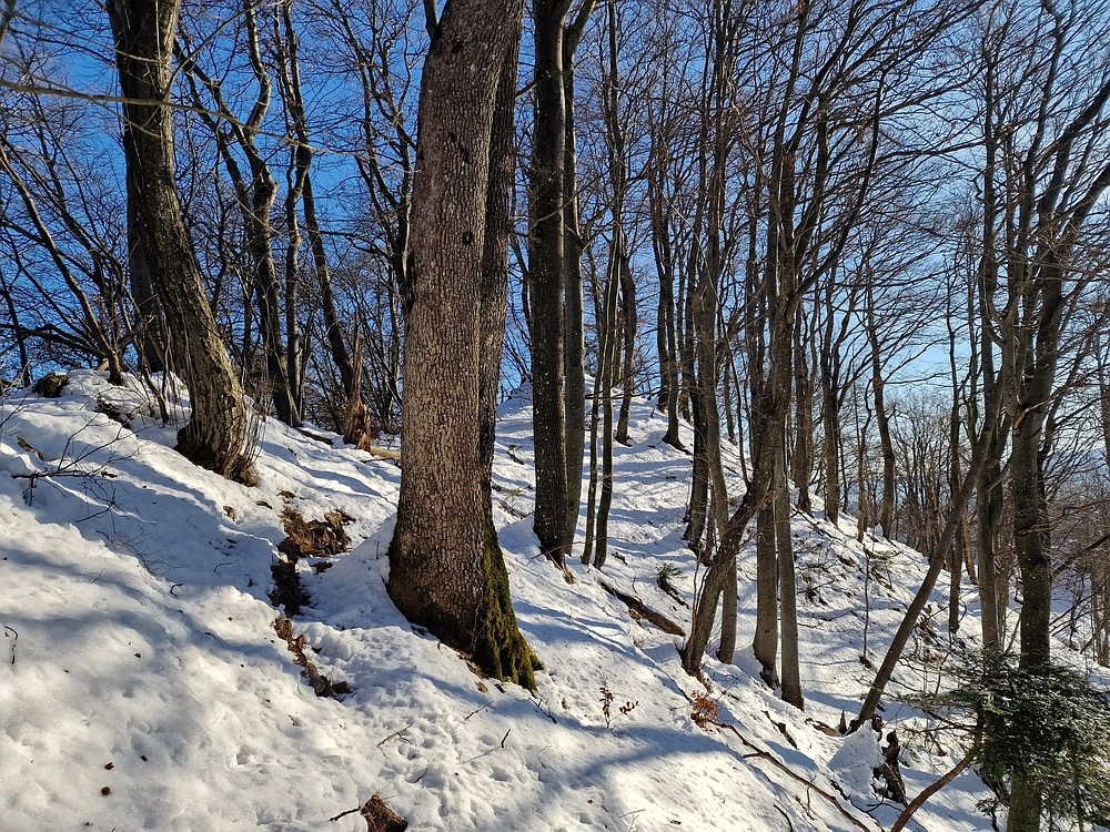 Reška planina, 31. 12. 2025
