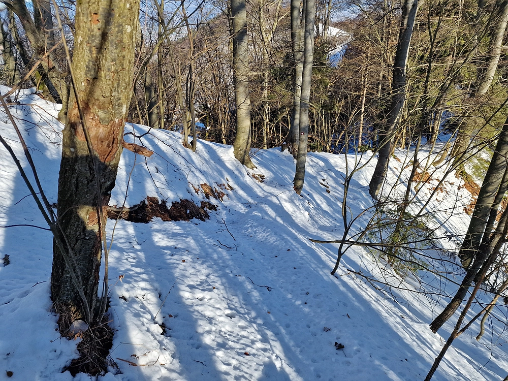 Reška planina, 31. 12. 2025