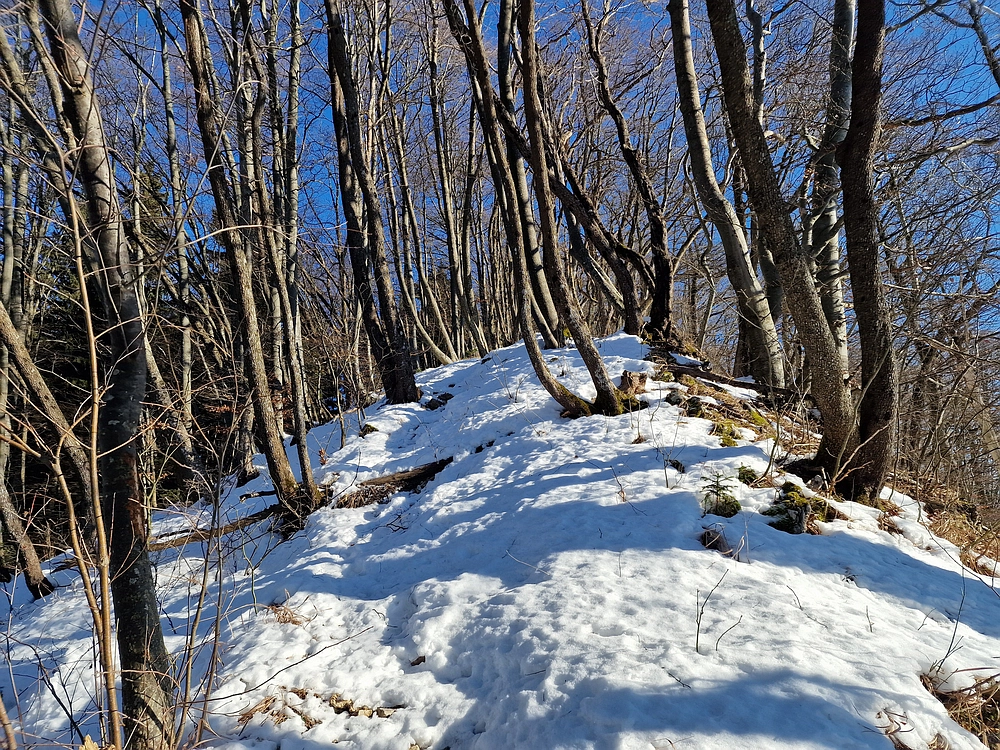 Reška planina, 31. 12. 2025