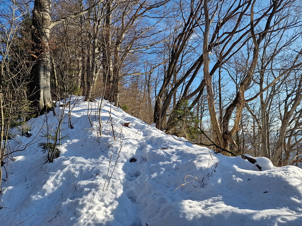 Reška planina, 31. 12. 2025