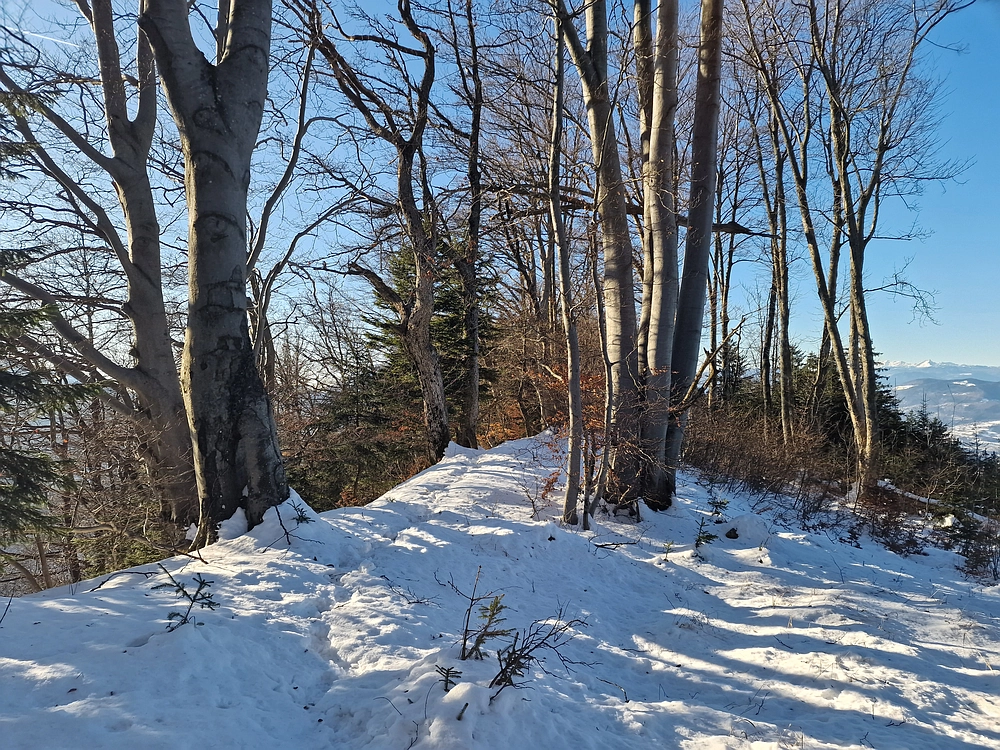 Reška planina, 31. 12. 2025