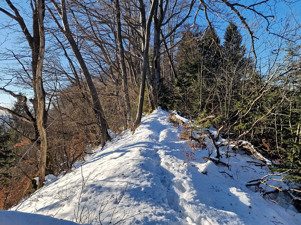 Reška planina, 31. 12. 2025