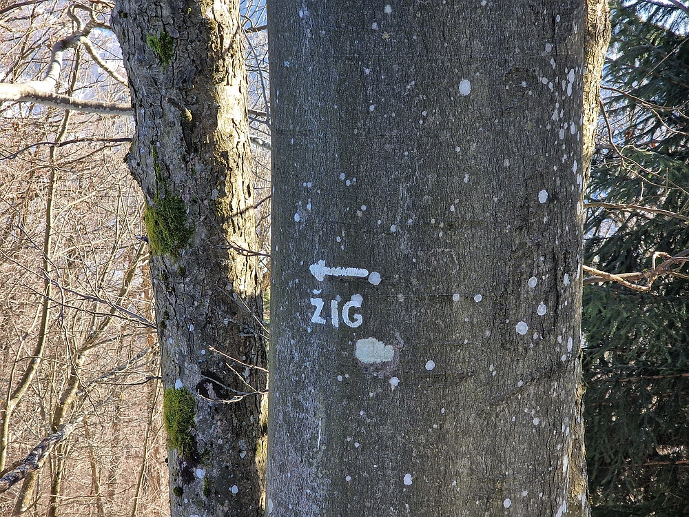 Reška planina, 31. 12. 2025