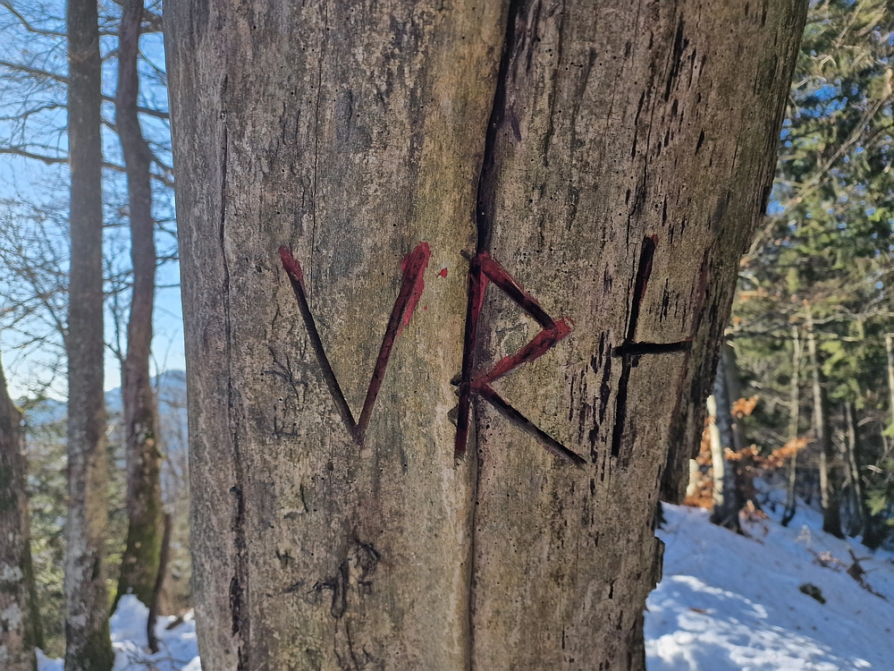 Reška planina, 31. 12. 2025