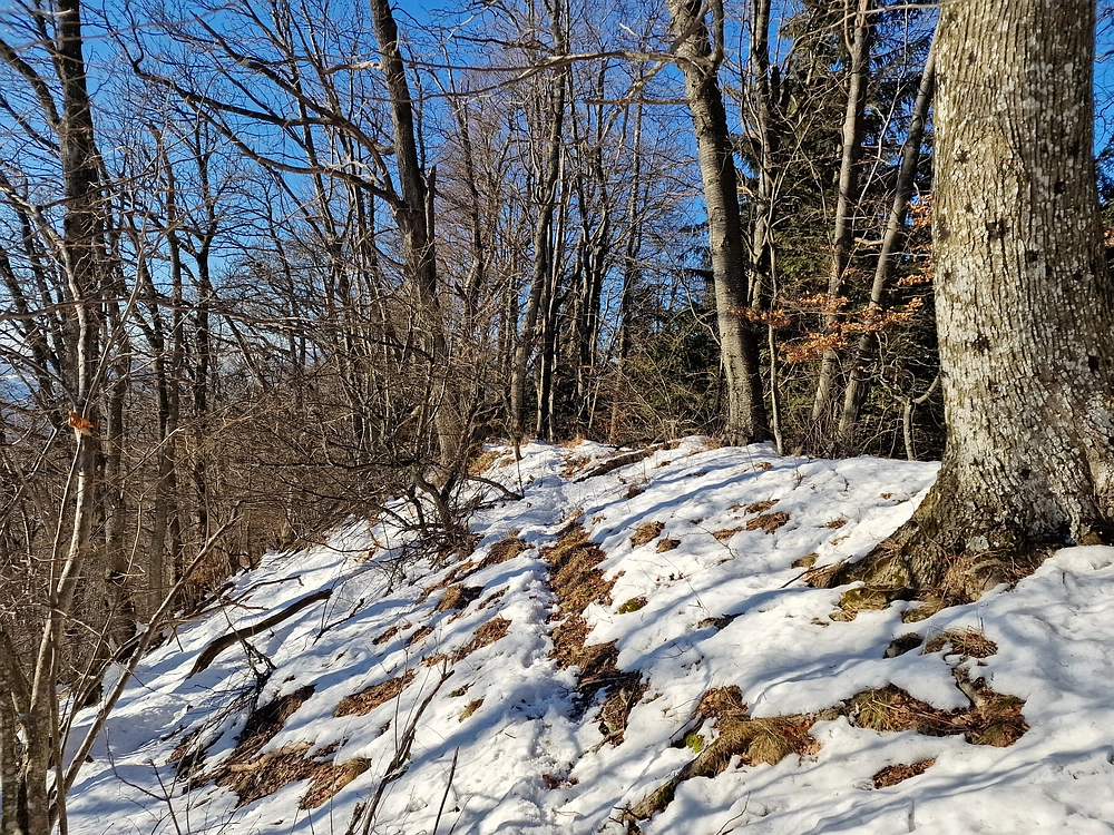 Reška planina, 31. 12. 2025