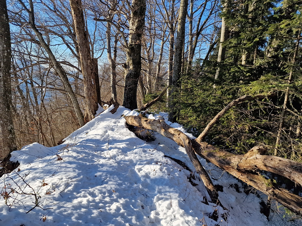 Reška planina, 31. 12. 2025